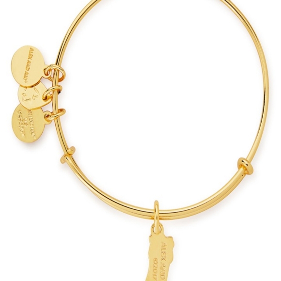 ALEX AND ANI STOCKING CHARM BANGLE - Picture 3 of 7